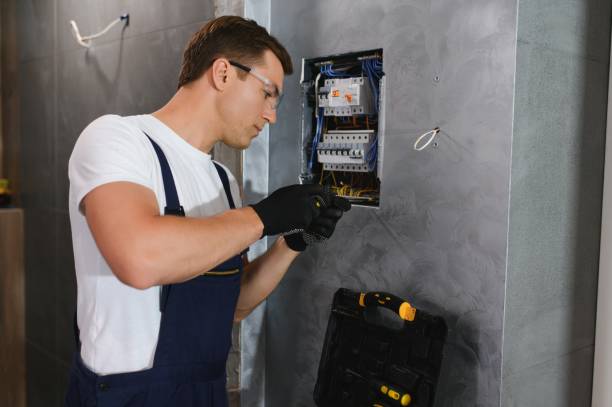 Best Electric Panel Repair  in Rome City, IN